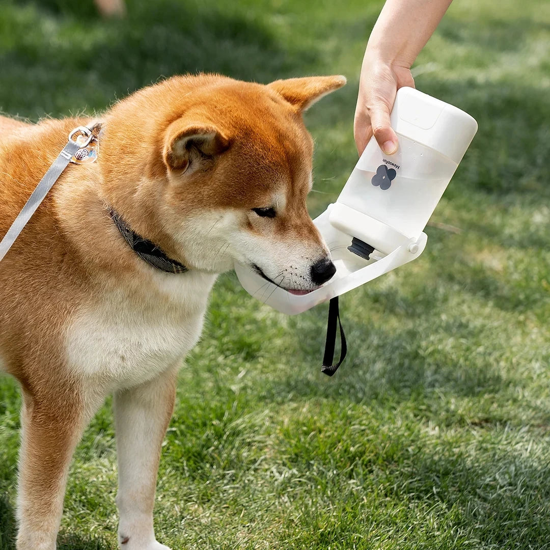 Dog Water Bottle